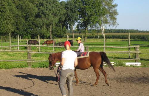 Ferienhof Drewes Ranch - Foto 16