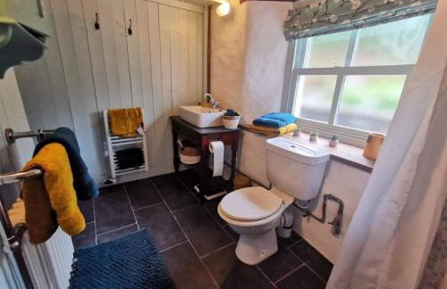 Penrallt-Fach Traditional Welsh cottage Pembrokeshire - Foto 64