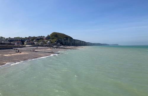 Gîte le Beluga - proche mer - Veules-les-Roses - Foto 20