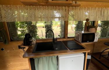 Bus insolite - Foto 13