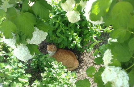 Apartment Dolores - Foto 31