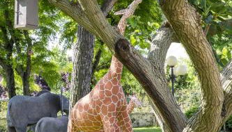 Relais Ca' Maddalena - Foto 5, Garden