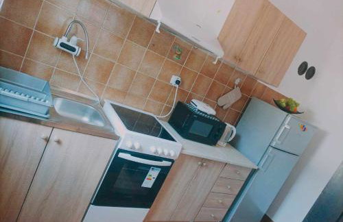 Apartman MR - Photo 8