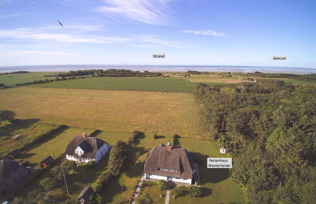 Westerheide Modern Retreat - Foto 37