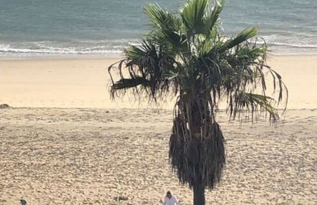 Apartment in Sonnen - Foto 25