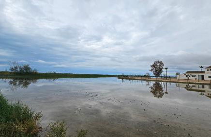 Masos Bruguera - Finca Llambrich - Foto 24