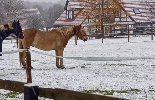 Landidylle mit Garten, Whirlpool und Klima - Foto 37