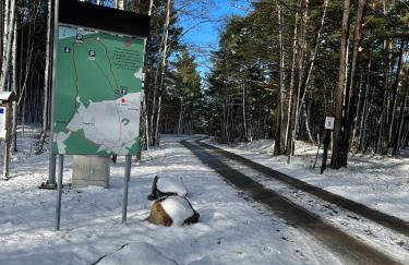 Domki nad morzem " Przy Lesie" - Foto 36