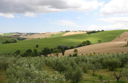 Al Crepuscolo Agriturismo - Foto 27