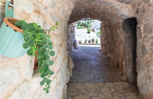 Awesome Home In Ploce With Jacuzzi - Foto 21