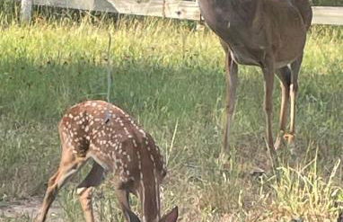 Fishers Of Men Ranch Home - Photo 69