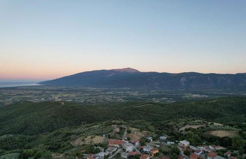 Olympus Beach Aigani Family House - Photo 31