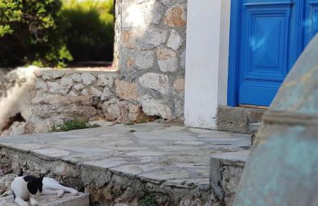 villa aneme Spetses - Photo 74