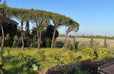 Casa Vacanze nel Verde a 5 Km dal mare - Foto 4
