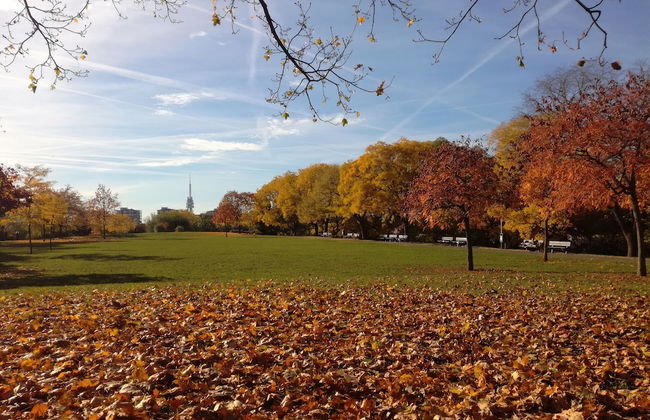 University Hotel - Foto 40