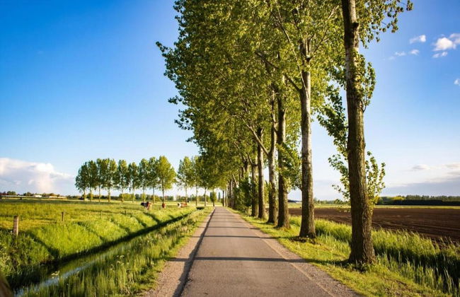 Getaway With Garden in Gelderland - Foto 31