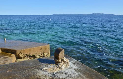 Apartments Surjan - Photo 29