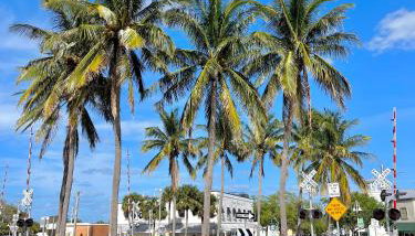 Sunny - Pool - Close to Beach - Fishing - Boat Ramp - Foto 1