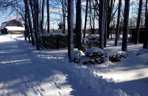 Secluded Cabin Rental near Letchworth State Park in Buffalo, Arcade, New York - Foto 17