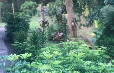 Relaxing cottage in Teresópolis, Comary farm - Foto 25