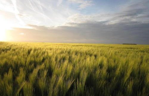 Spacious Cottage With Private Garden in Normandy - Foto 90