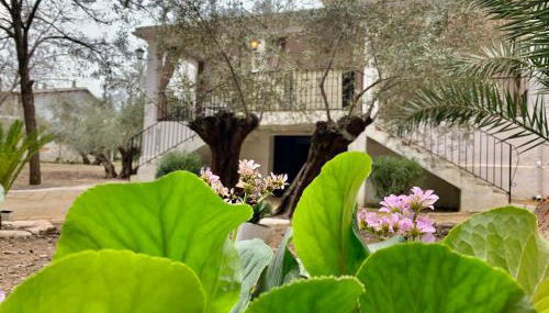 Casería San José - Foto 3, Garden