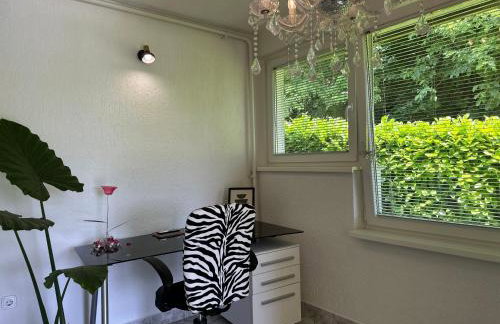 Apartman Perla - Foto 16