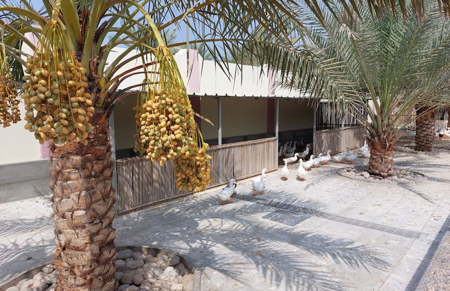 Asahalah Farm Villas - Photo 35