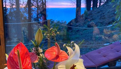 Bodega Linda - Photo 4