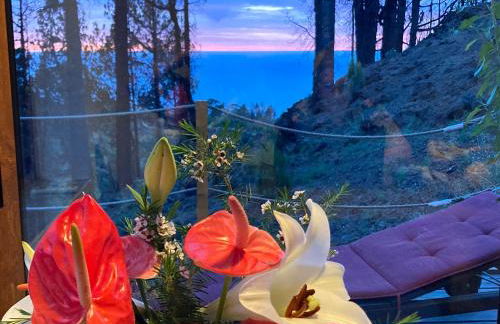 Bodega Linda - Foto 4