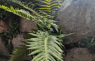 Ferienwohnung Hirsch - Foto 28
