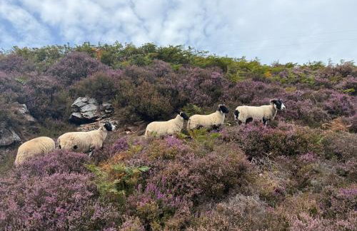 RoyalMileLUXE 3bed Apartment - Foto 14