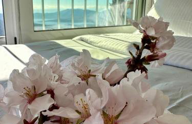 ΝΝ Delphi Loft - Foto 12