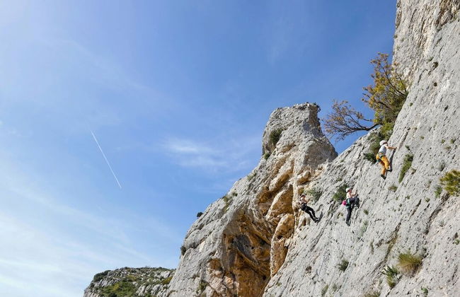 Domaine de la Vallée Heureuse - Photo 78