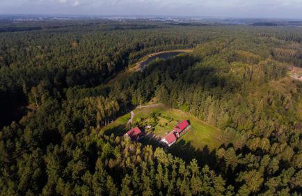 Pokoje w lesie - Foto 11