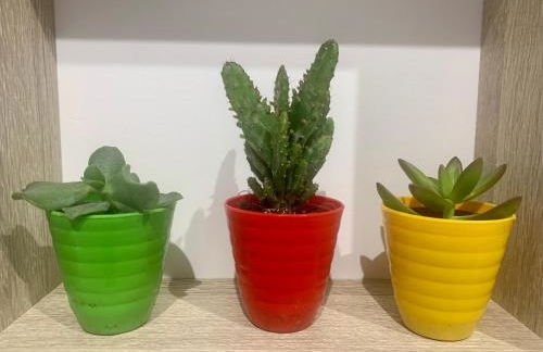 Puerta de Caceres Apartamento 5 Callejón De Don Álvaro - Foto 11