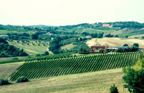 Tenuta Santini - Foto 29