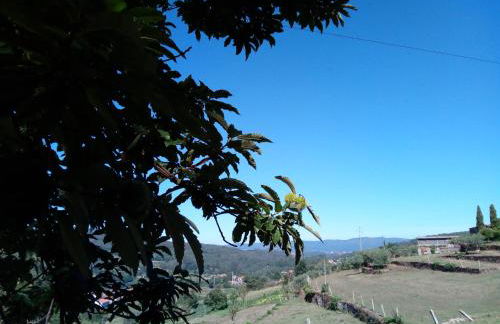 Casa do Largo do Cruzeiro - Foto 46