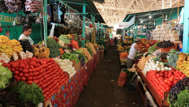 Visita guidata di Puerto Escondido - Foto 4