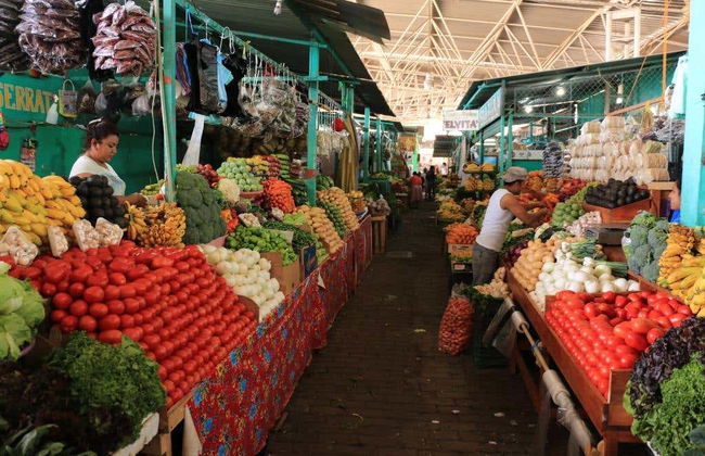 Visita guiada por Puerto Escondido - Foto 4