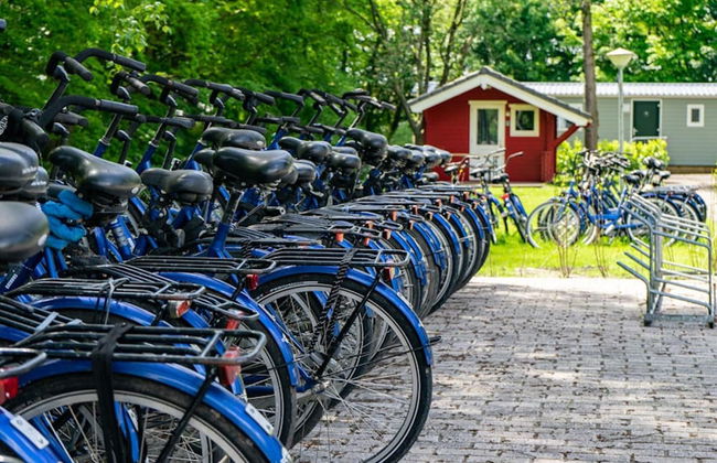 Colorful Chalet Near Amsterdam - Foto 16