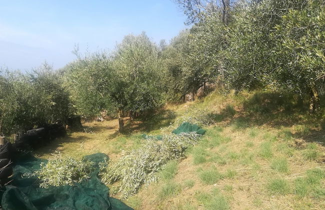 Agriturismo Castanito - Foto 56