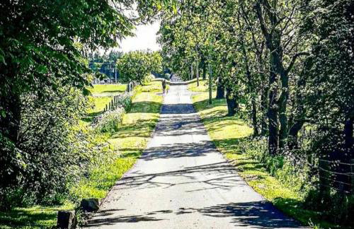 The Wee Stay - Room Only - Rural 1 Bed Guest Suite - Foto 6