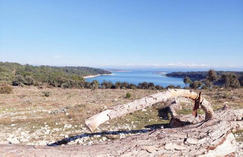 NewHome Nicole Premantura - Foto 27