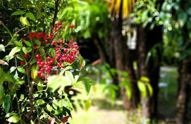 Casa Emilia - Foto 5