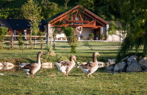 Agriturismo I Comelli - Foto 38