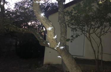 Perfect Country-Side Get-Away - Photo 18