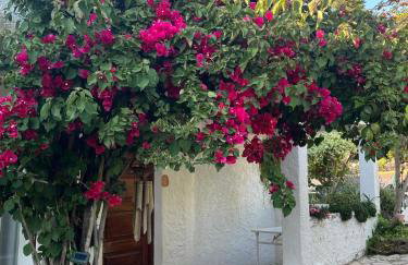 Lugar das Andorinhas - Foto 36