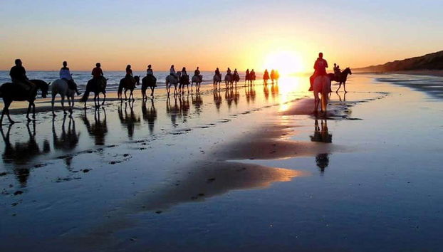 Horse riding on Doñana's beaches at sunset