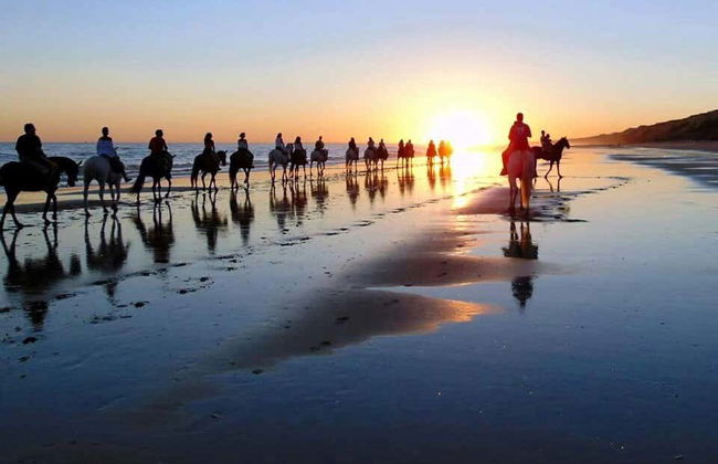 Doñana National Park Sunset Horse Ride - Photo 2